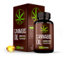 CANNABIS OIL L’HYPERTENSION